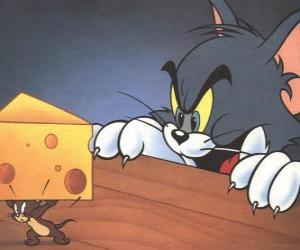 yapboz Tom Jerry kedi bir parça peynir almak için fare şaşırttı